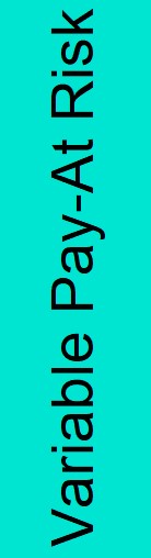 https://cdn.kscope.io/016d7fa4d1752c07c1f32c0c110dc31d-Variable Pay At-Risk.jpg