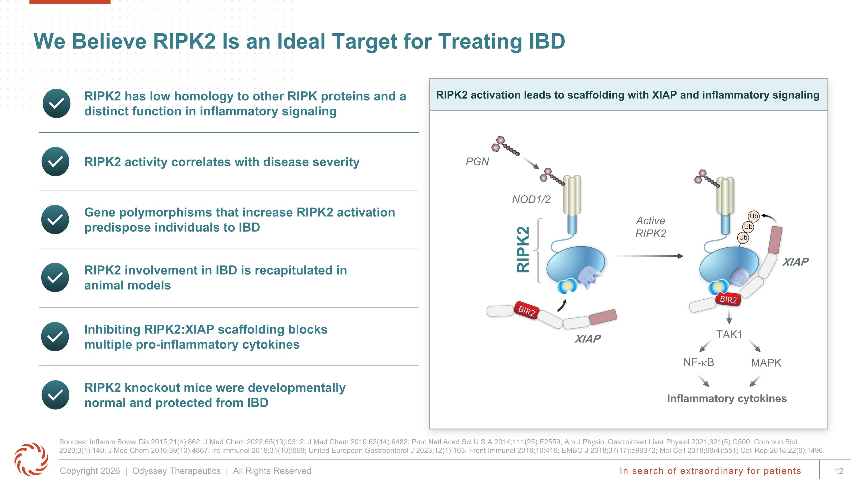 Slide 12