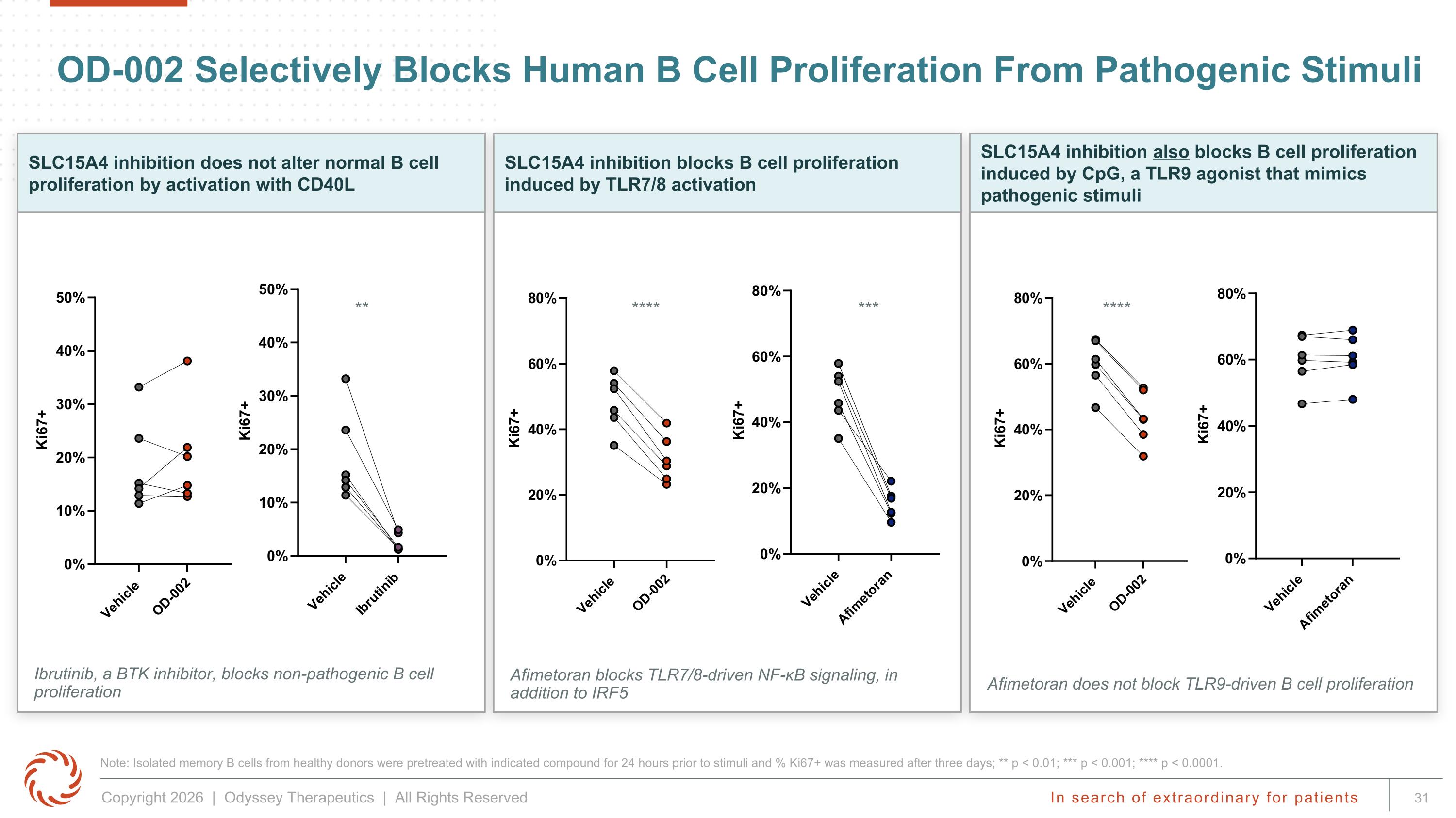 Slide 31