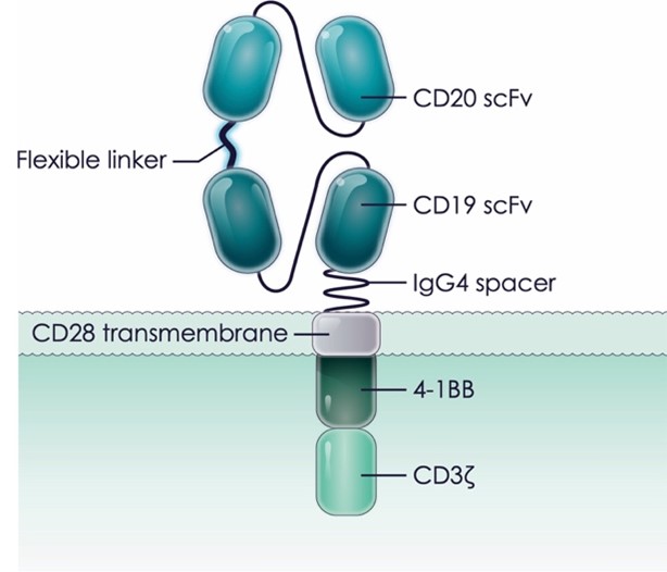 https://cdn.kscope.io/02d3d33d37742cab903d0e57b02494ed-Figure 2_v1.jpg