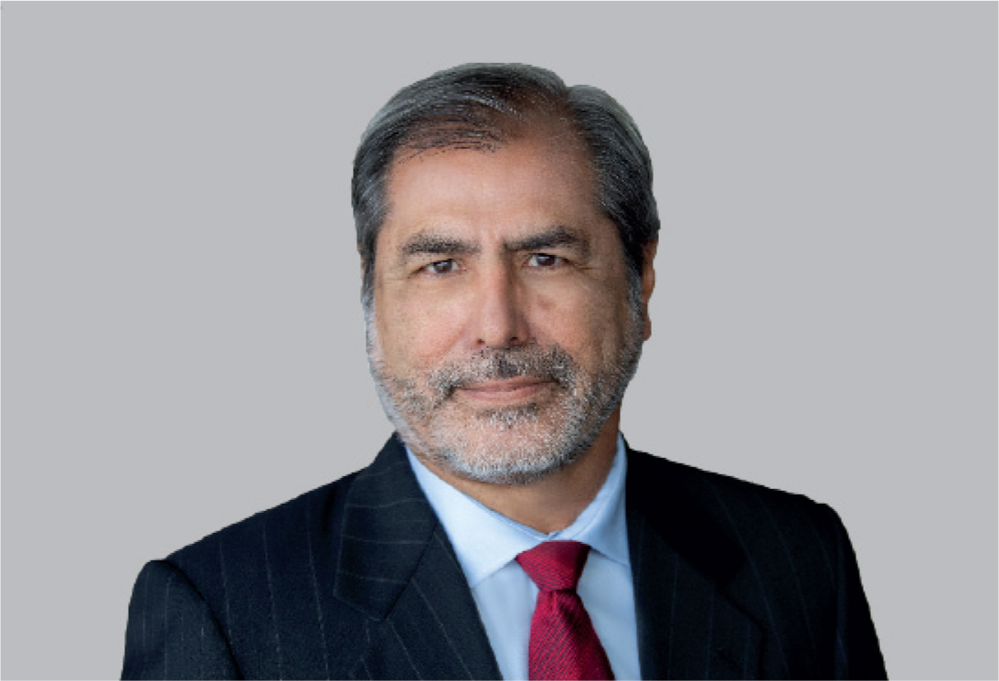 [MISSING IMAGE: ph_ramirogperu-4c.jpg]