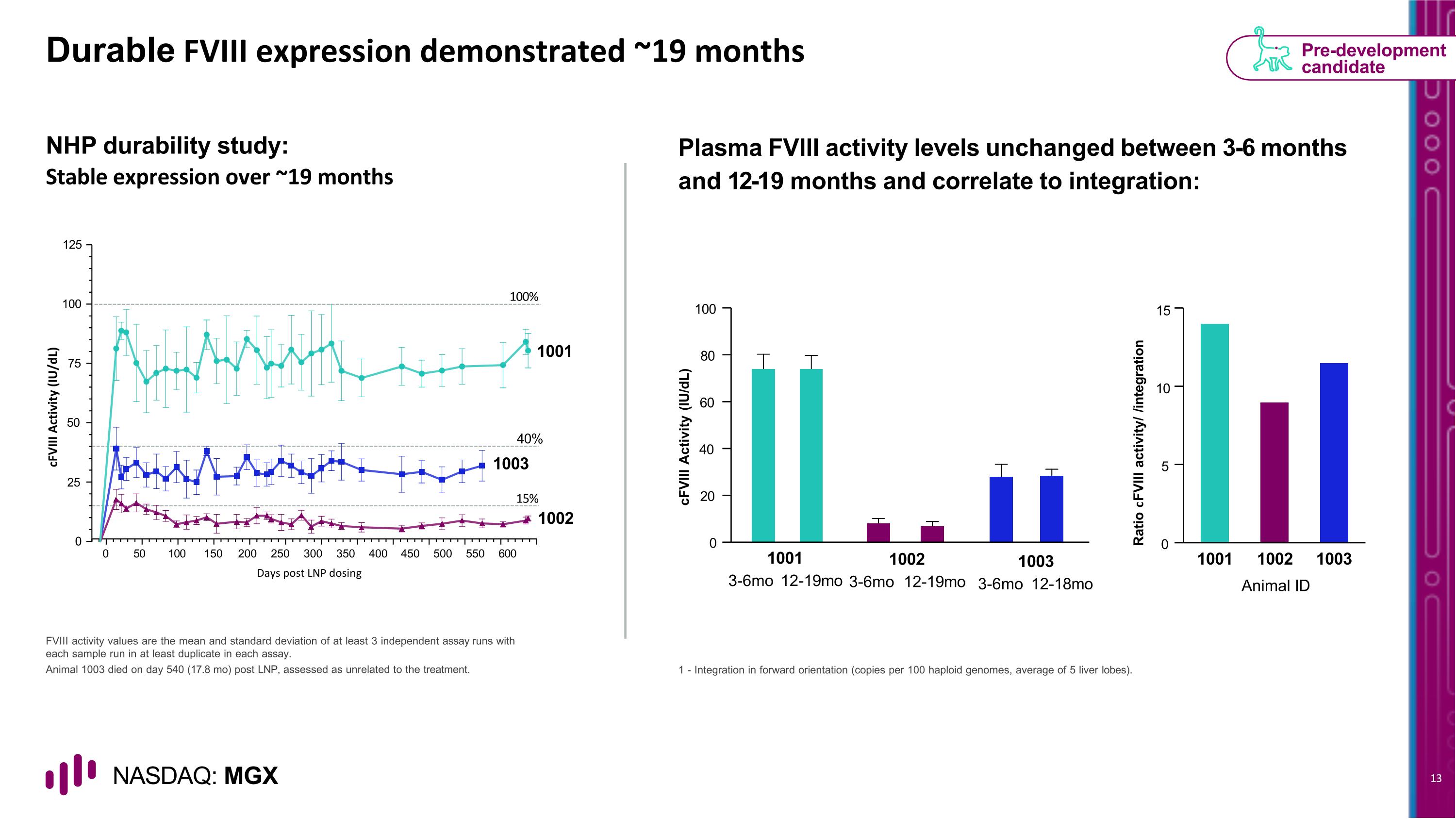 Slide 13