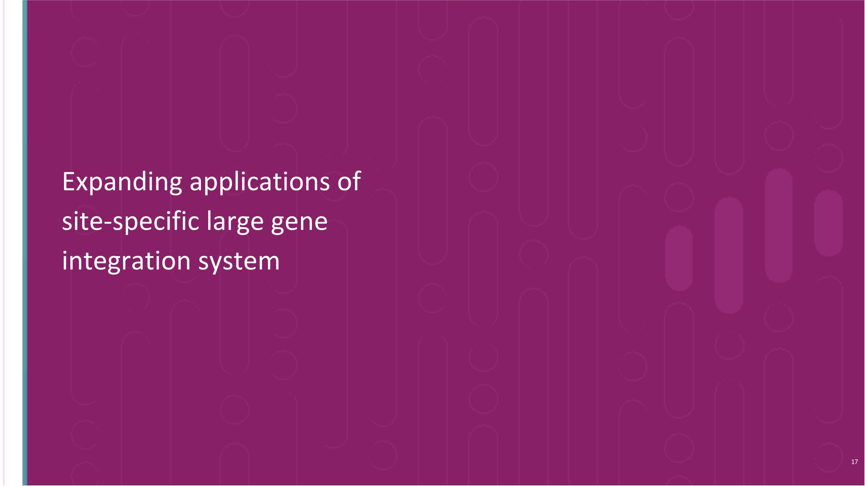 Slide 17