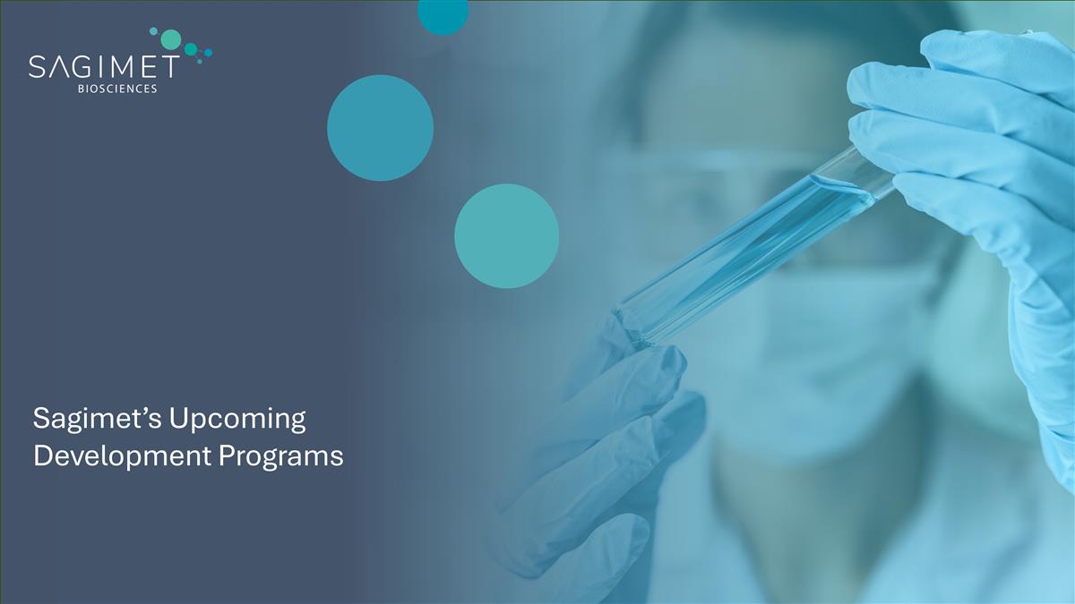 Slide 17 Slide 17