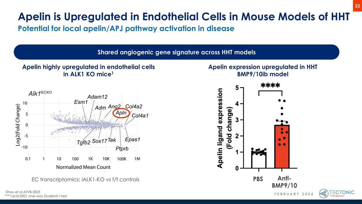Slide 33