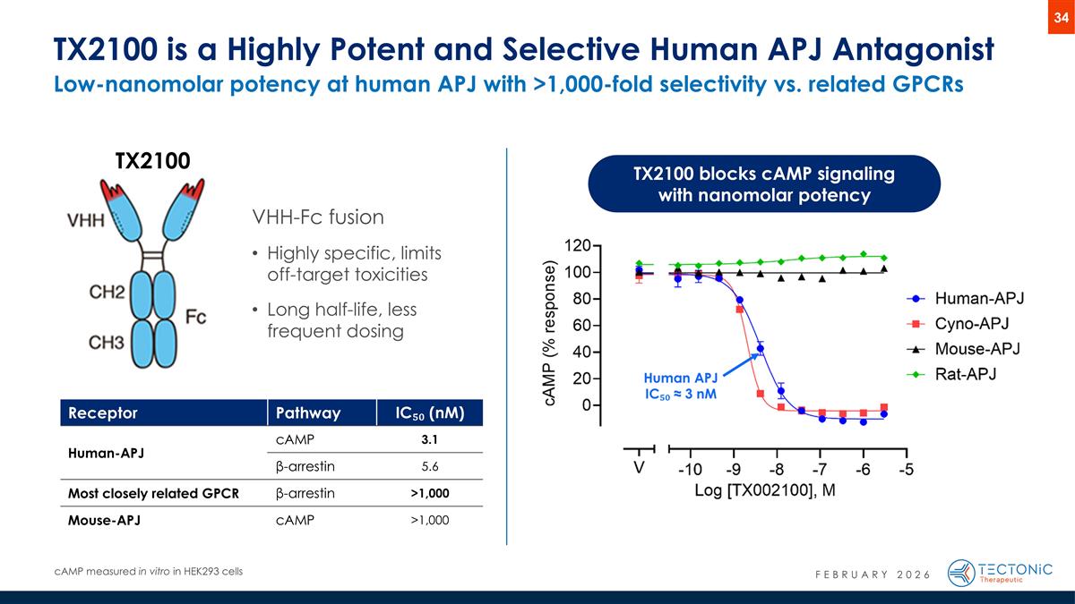 Slide 34