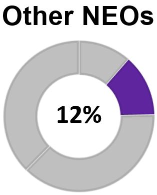 https://cdn.kscope.io/0c024c89651bf9d74a7fbeb97cf1e130-otherneostidonut1.jpg