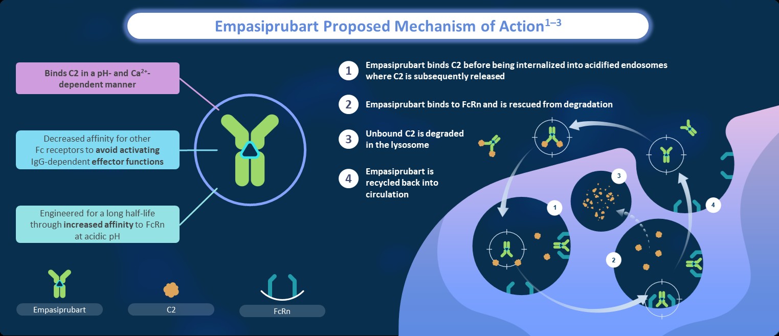 https://cdn.kscope.io/0ea55713674b8ef11a19d6069fb5cc0b-empasiprubart mechanism of action.jpg