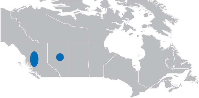 https://cdn.kscope.io/107fac9dbd048e1365f70970b1a8d218-graphic_map_canada.jpg
