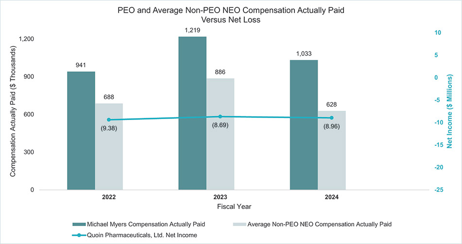 [MISSING IMAGE: lc_netloss-4c.jpg]