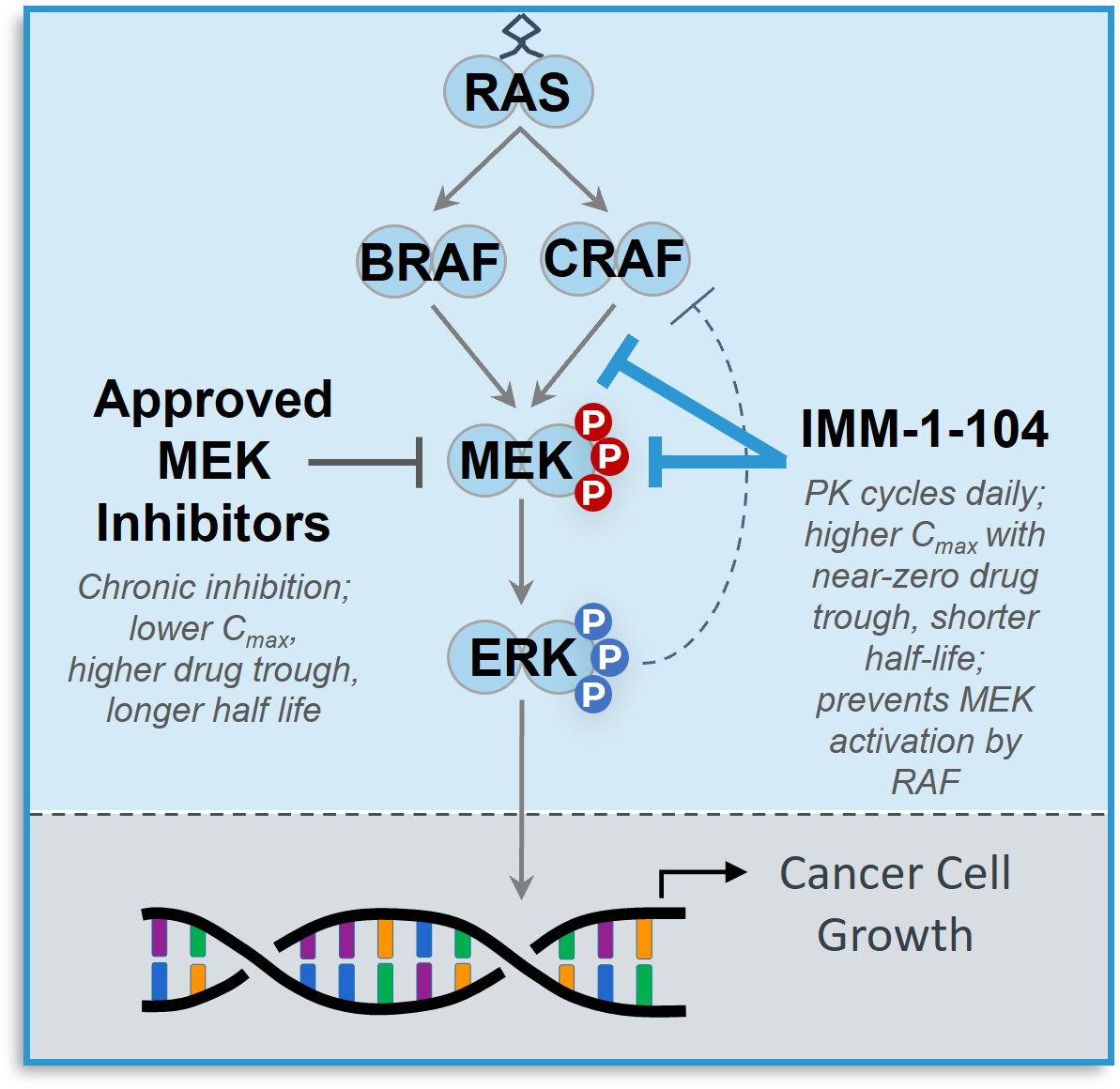 https://cdn.kscope.io/17dbc21868a489566a0e1aacad845106-Fundamental Cancer Signaling Cellular Pathways.jpg