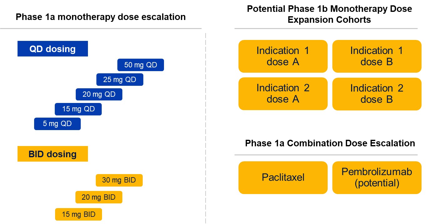 https://cdn.kscope.io/1d9be47e03ea0aab6394800241a2cce5-Phase 1a monotherapy ppt.jpg