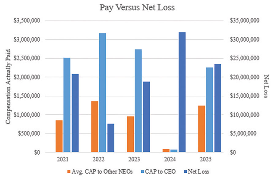 [MISSING IMAGE: bc_netloss-4clr.jpg]
