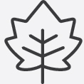 https://cdn.kscope.io/24fb59db12781ba5645e11c4569f6031-icon_summerandfall.jpg
