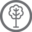 https://cdn.kscope.io/24fb59db12781ba5645e11c4569f6031-pg11_icon-carbonneutral.jpg