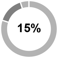 https://cdn.kscope.io/24fb59db12781ba5645e11c4569f6031-pie_icp15%.jpg