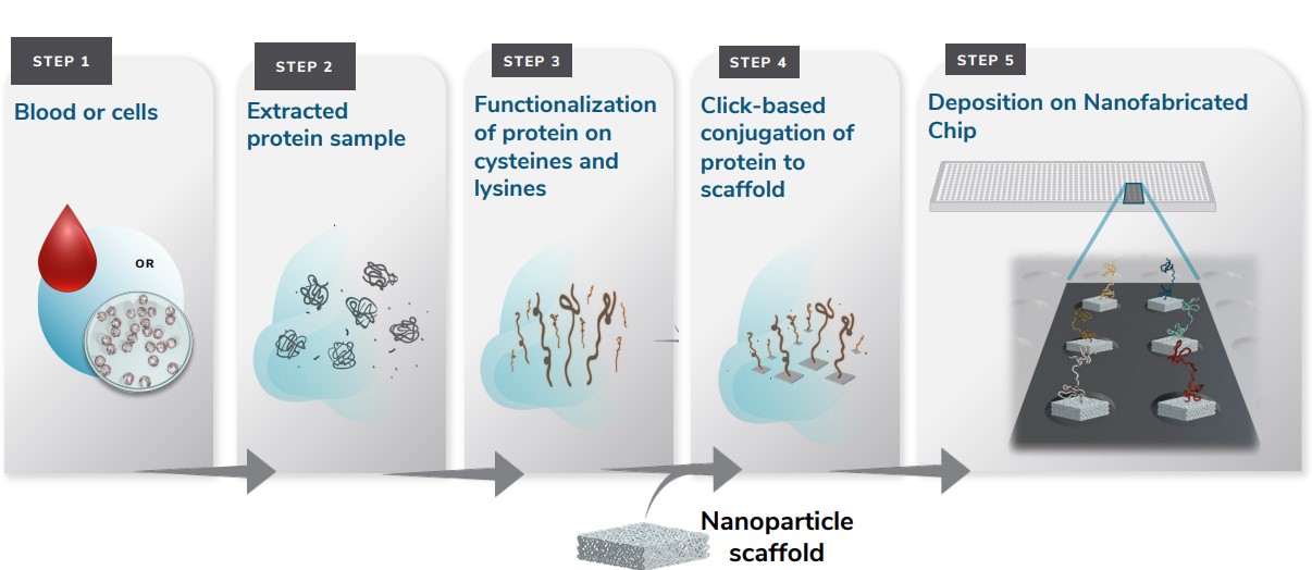 https://cdn.kscope.io/295a203ca96e2b19133292a187183625-Single Protein Molecule Flow Cell 1.jpg