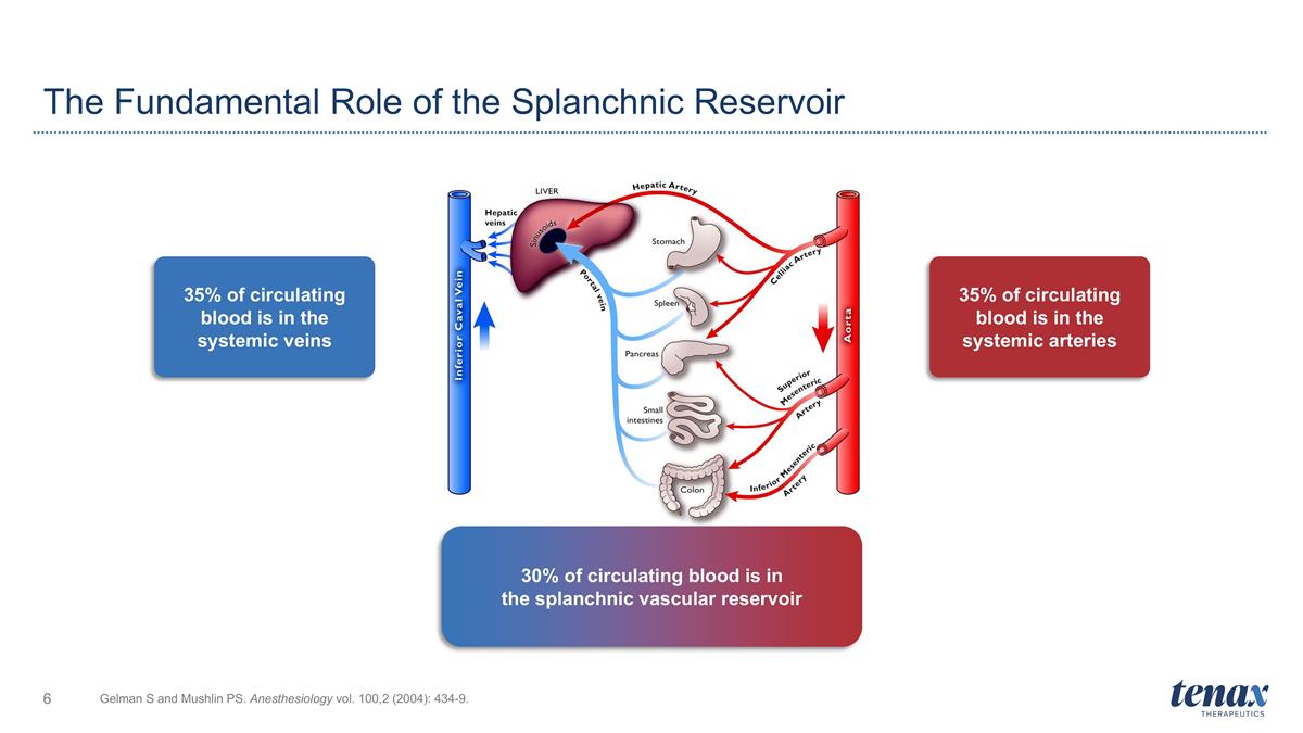 Slide 6 Slide 6