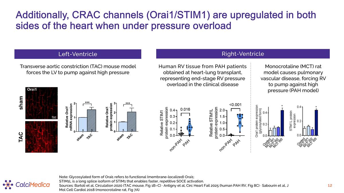 Slide 12