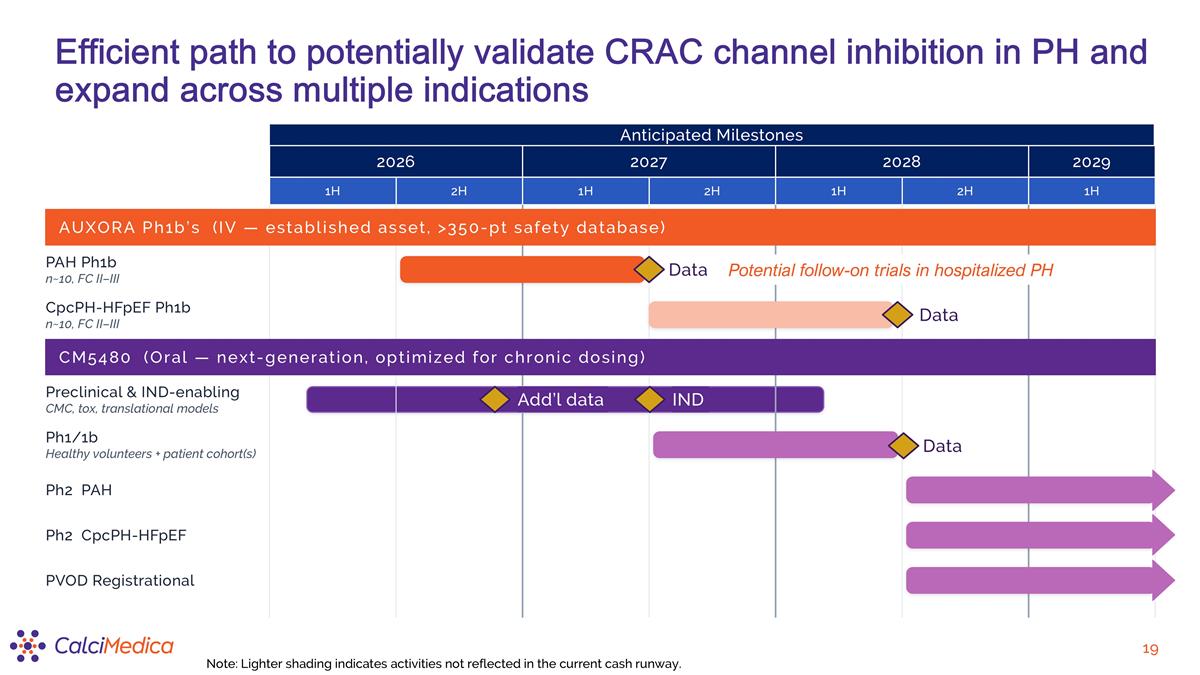 Slide 19