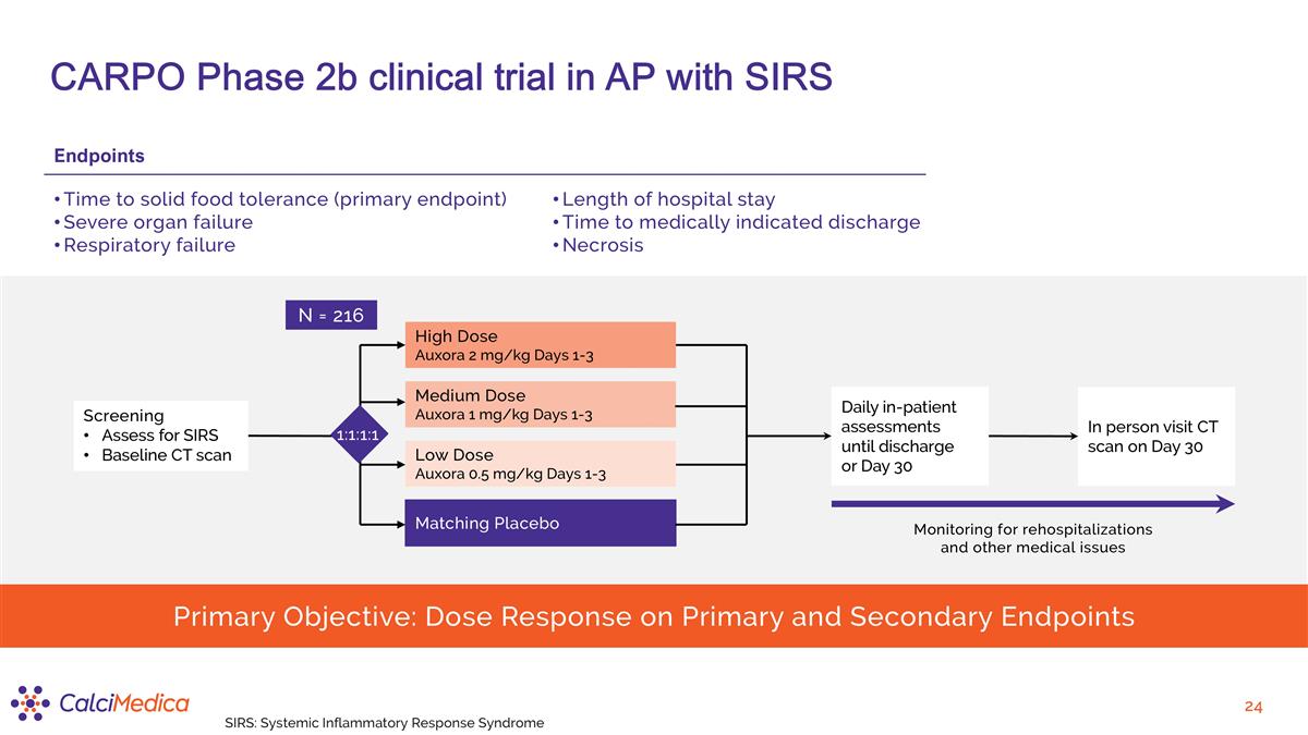 Slide 24