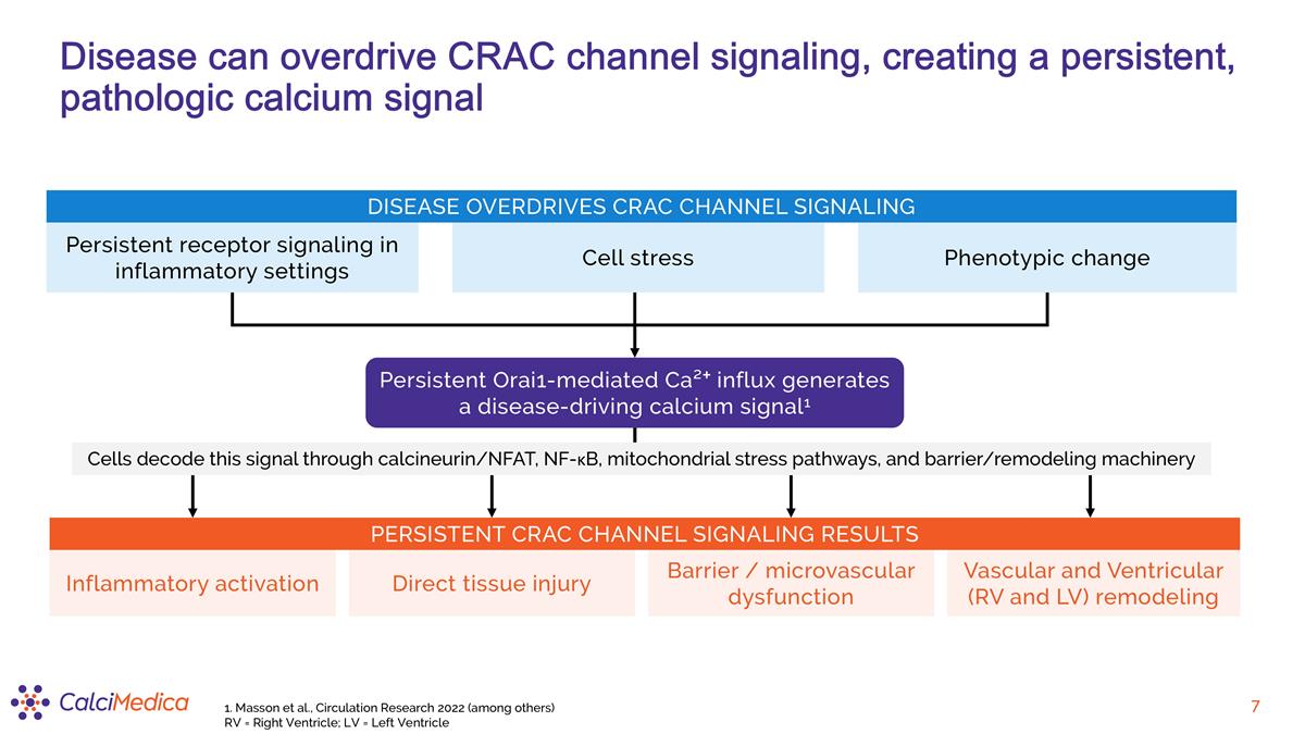 Slide 7
