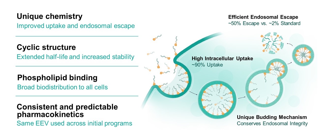 https://cdn.kscope.io/3a398602d01faeae42adf0d22f8dadbb-EEV Mechanism.jpg
