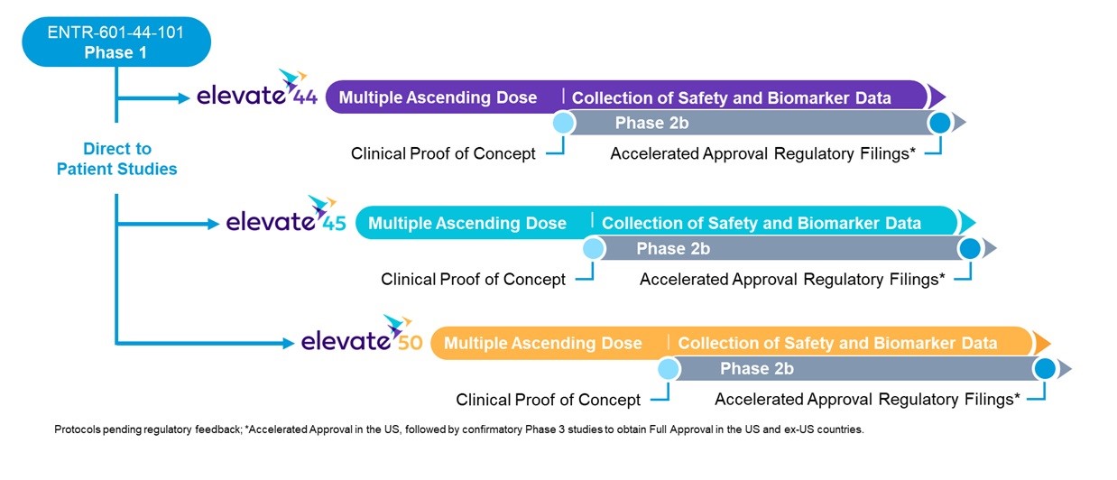 https://cdn.kscope.io/3a398602d01faeae42adf0d22f8dadbb-Elevate Programs.jpg