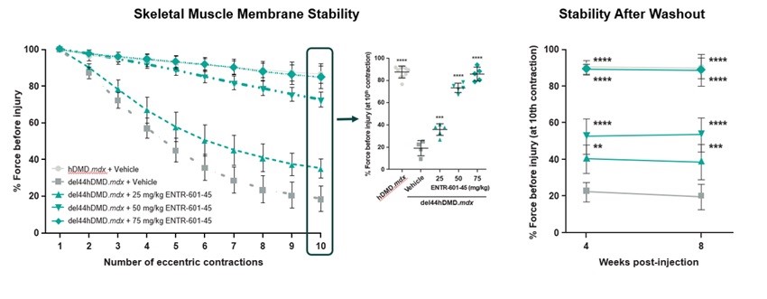 https://cdn.kscope.io/3a398602d01faeae42adf0d22f8dadbb-45 membrane stability after washout.jpg