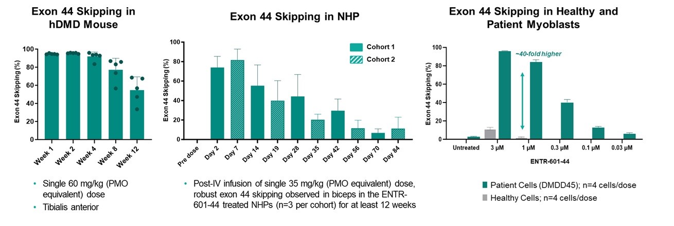 https://cdn.kscope.io/3a398602d01faeae42adf0d22f8dadbb-Cross Model Skipping.jpg