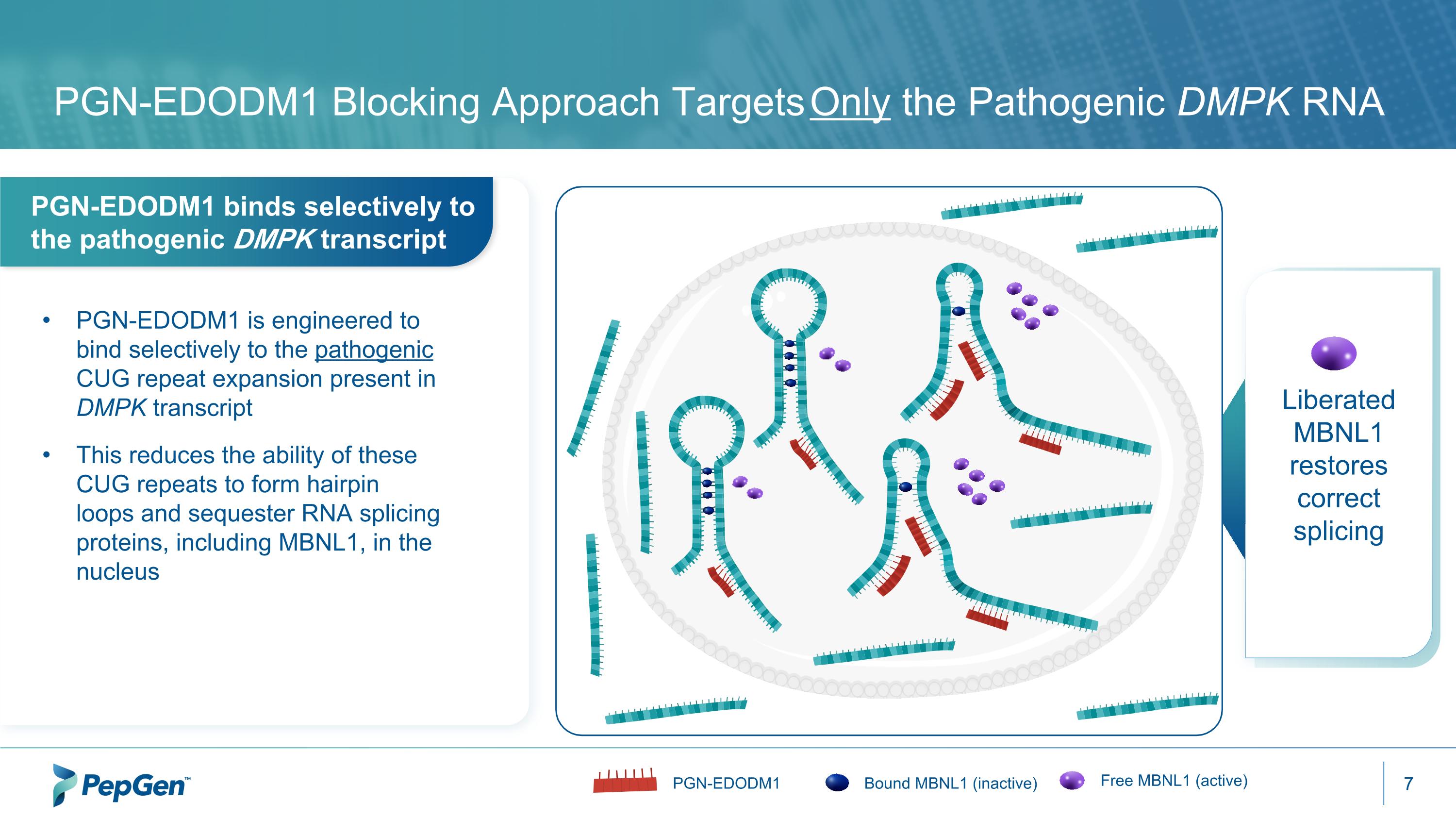 Slide 7