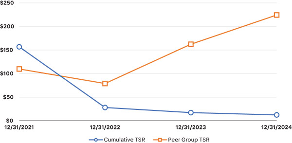 [MISSING IMAGE: lc_peergrptsr-4c.jpg]
