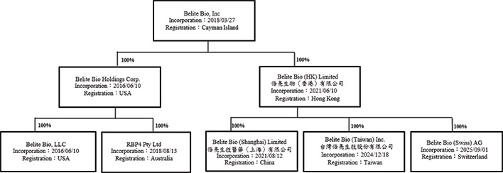 [MISSING IMAGE: fc_corpstruc-bwlr.jpg]