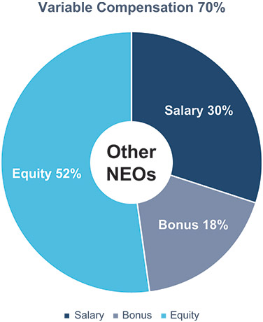 [MISSING IMAGE: pc_neo-pn.jpg]