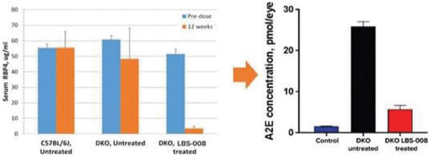 [MISSING IMAGE: bc_preclinicalproof-4clr.jpg]