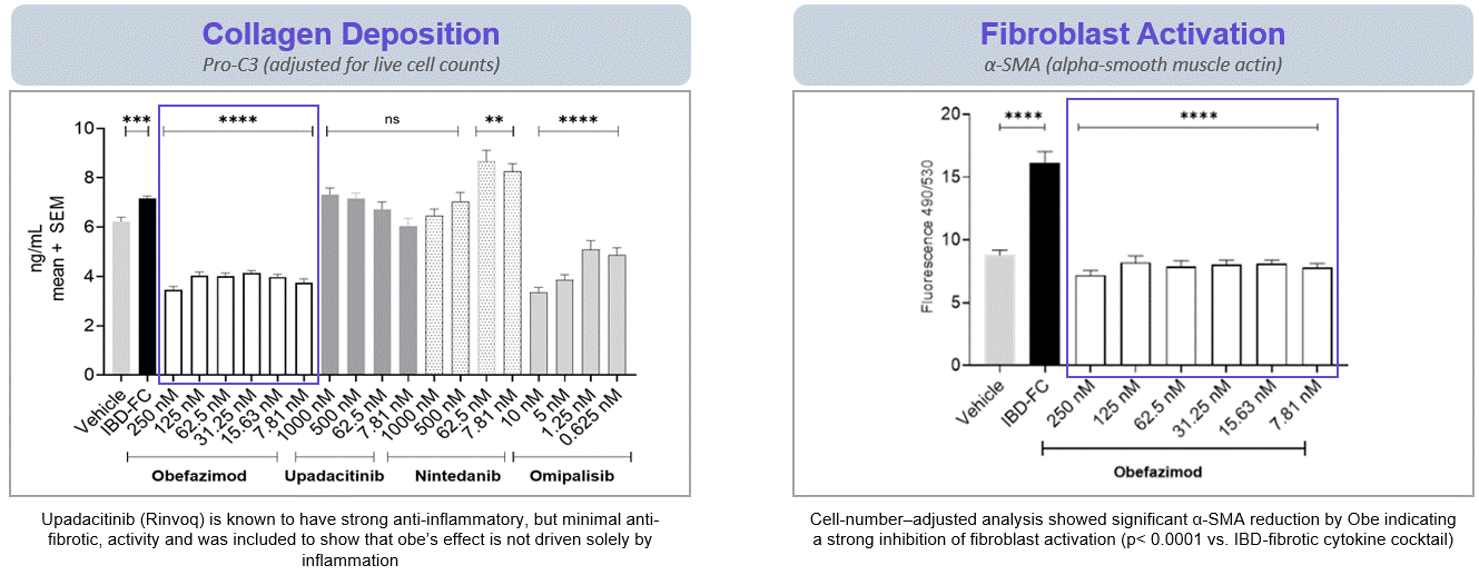 https://cdn.kscope.io/47c69ddd6547163d5052088105dae2e1-Anti-Fibrosis Studies.gif