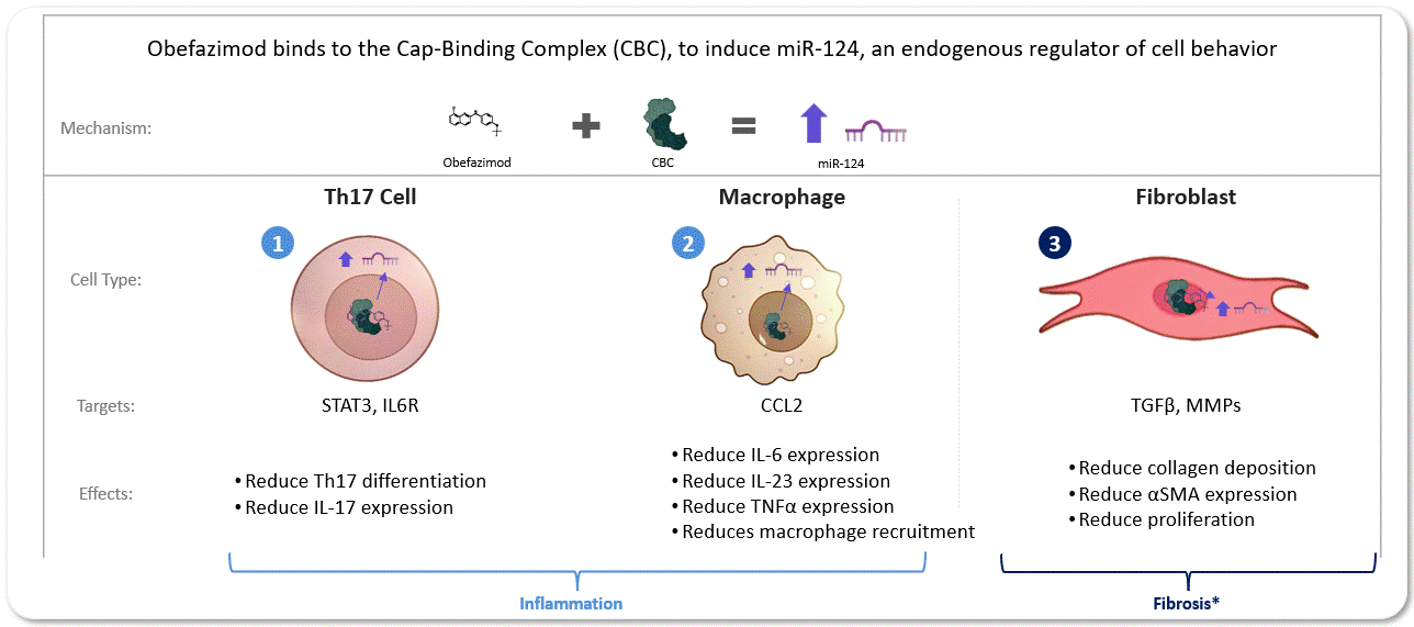 https://cdn.kscope.io/47c69ddd6547163d5052088105dae2e1-MoA - CBC Graphic.gif