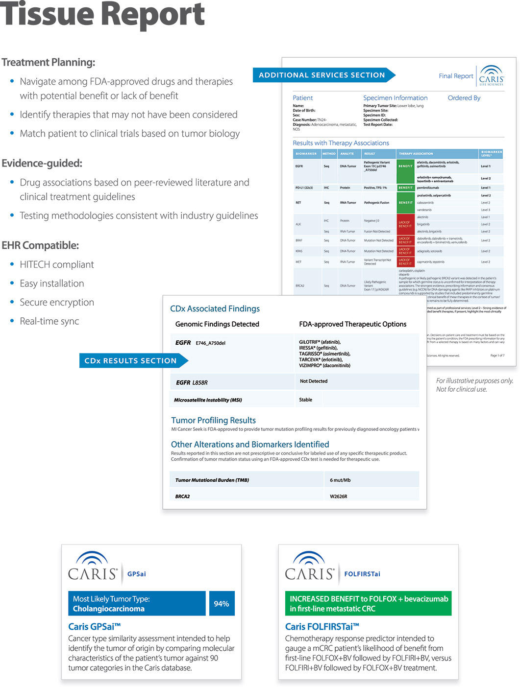 [MISSING IMAGE: fc_miprofile-4c.jpg]