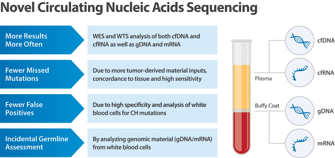 [MISSING IMAGE: fc_novelcirculating-4c.jpg]