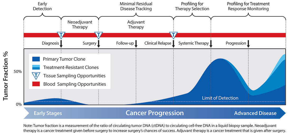 [MISSING IMAGE: lc_oursolutions-4c.jpg]
