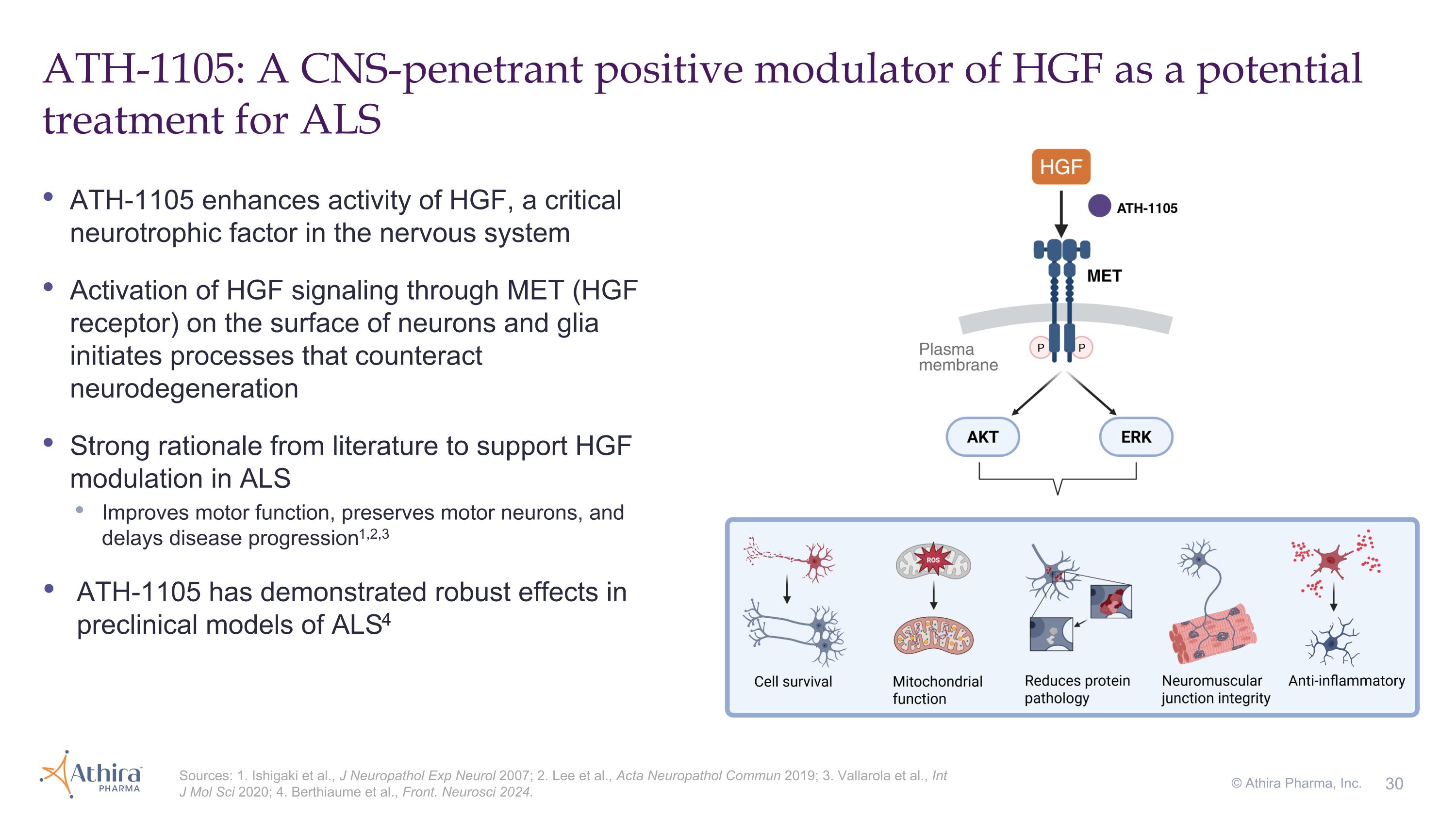 Slide 30 Slide 30