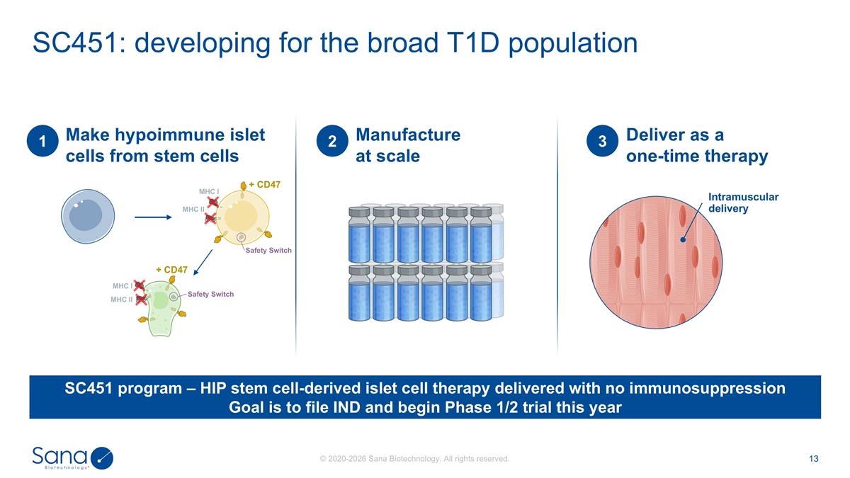 Slide 13 Slide 13