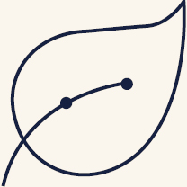 https://cdn.kscope.io/5533e98a267478649d4f04a217575afa-02_CG_Fall.jpg