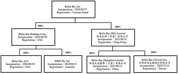 [MISSING IMAGE: fc_corpstruc-bwlr.jpg]