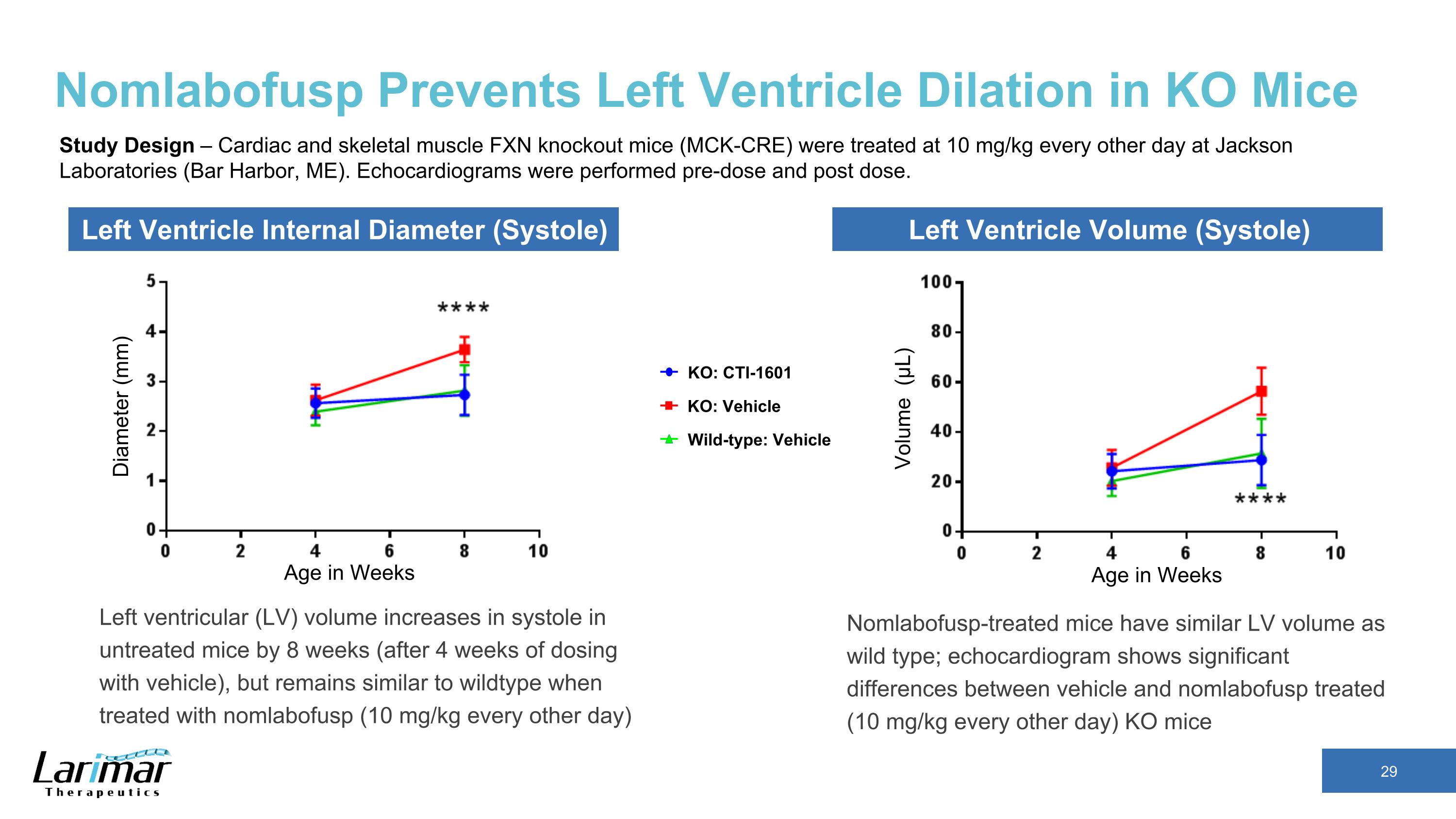 Slide 29