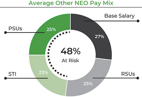 [MISSING IMAGE: pc_compneopaymix-pn.jpg]