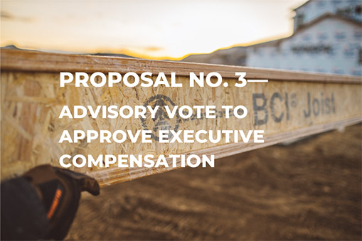 [MISSING IMAGE: ph_proposal3-4c.jpg]