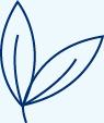 https://cdn.kscope.io/699dfc41899247f967d40071dc4eeeaa-02_435406-3_icon_SayOnPay_02_435406-3_icon_SayOnPay_Spring.jpg