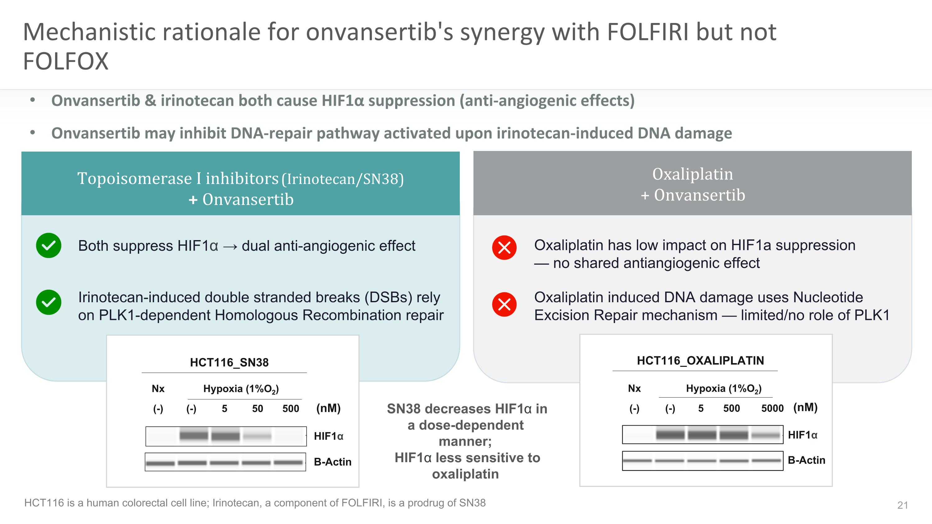 Slide 21