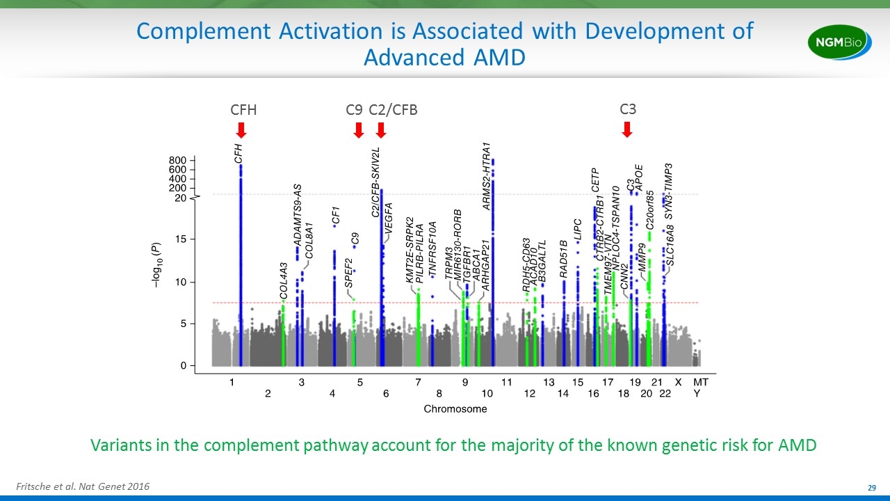 Slide 29